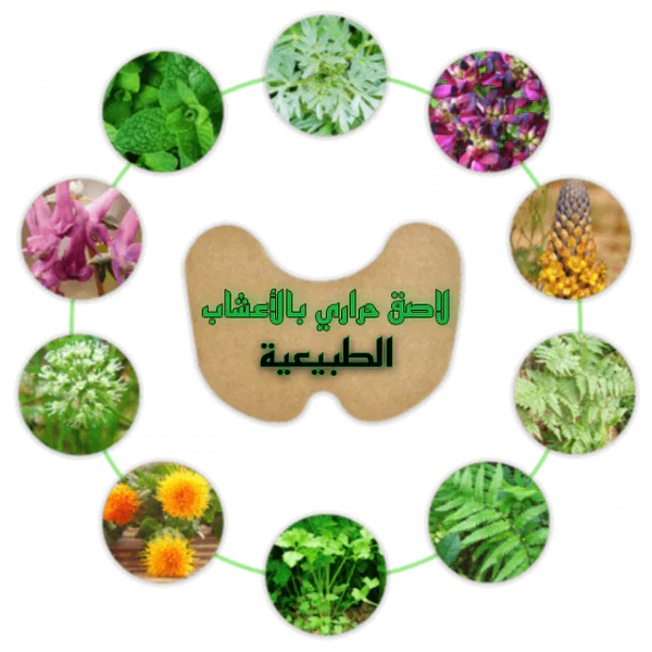 .اللاصقة الحرارية بالأعشاب الطبيعية للتـخلـص من ألـم الركبة™ - 14 قطعة
